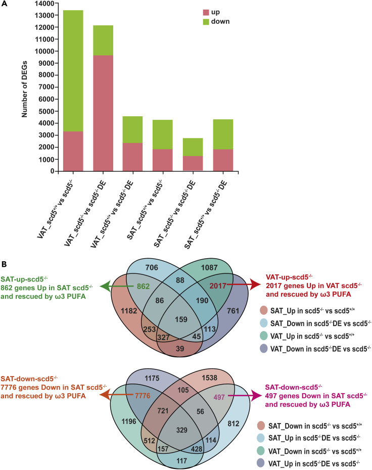 Figure 4