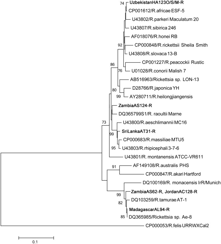 Fig 3