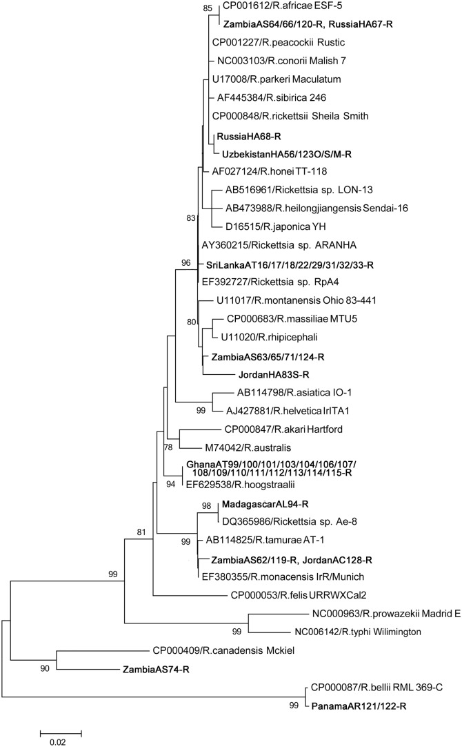 Fig 1