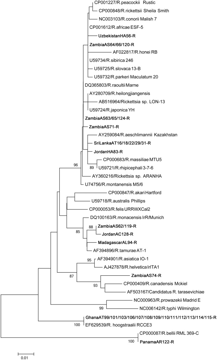 Fig 2