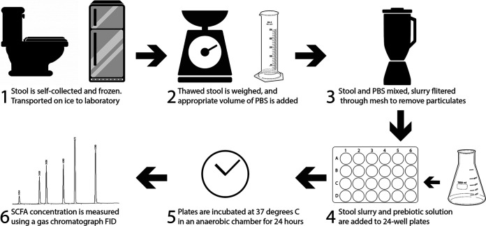 FIG 1