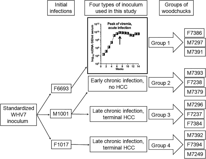 FIG 1