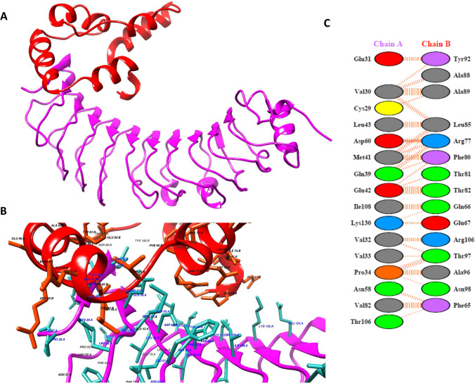 Fig. 6