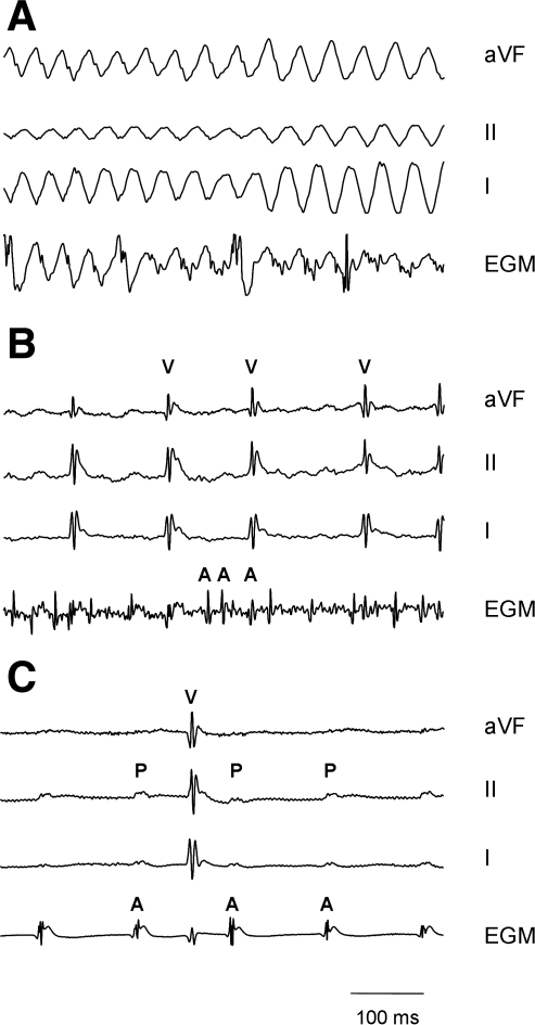 Fig. 5.