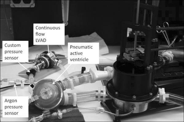 Figure 4