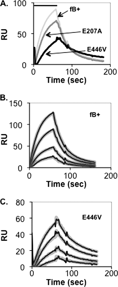 FIGURE 6.