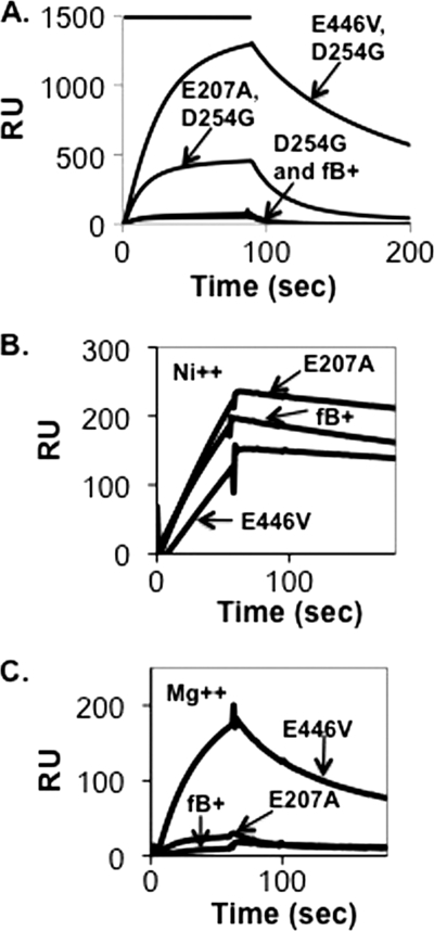 FIGURE 5.