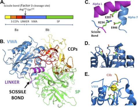 FIGURE 1.