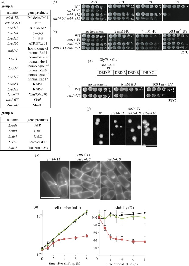 Figure 2.