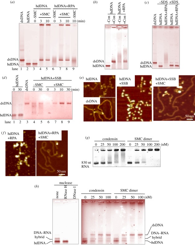 Figure 6.