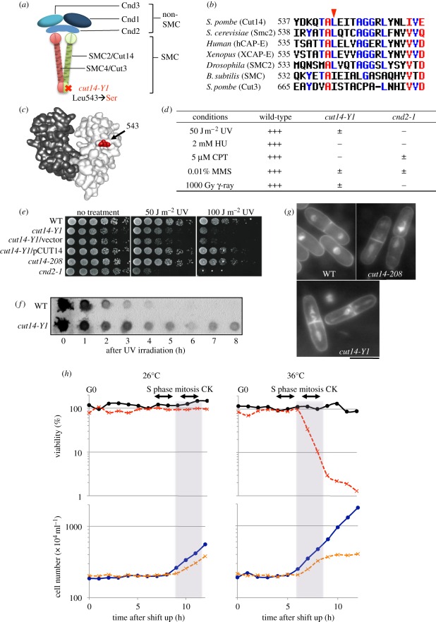 Figure 1.