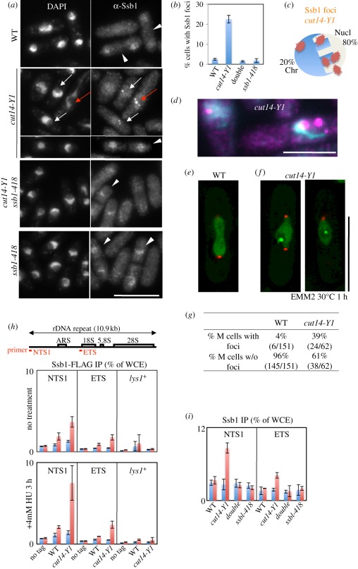 Figure 3.