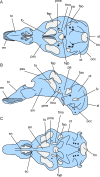 Fig 1