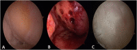 Fig. 4