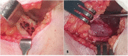 Fig. 6