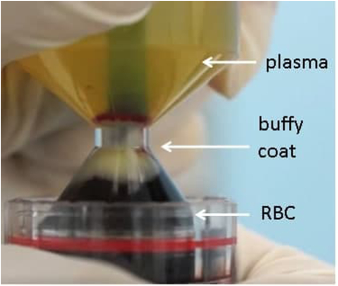 Fig. 2