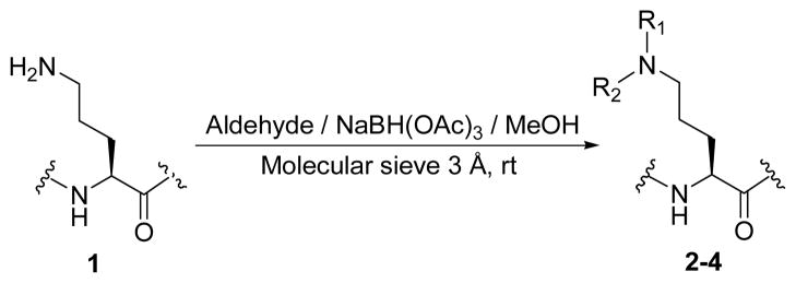 Scheme 1