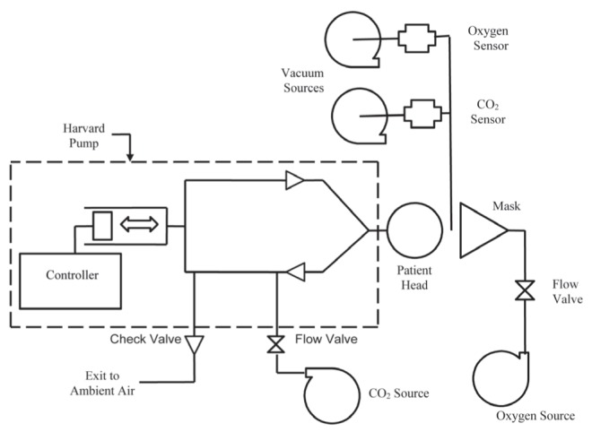 Figure 1)