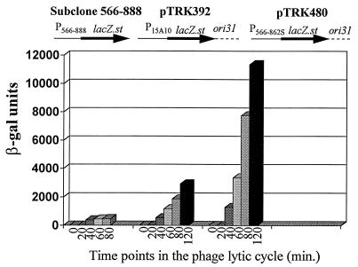 FIG. 11