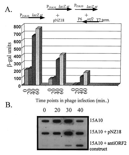 FIG. 6