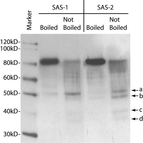 Figure 12.