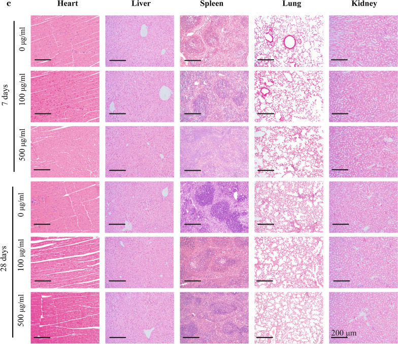 Fig. 11