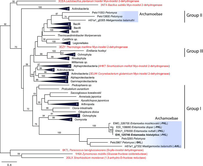 Fig 12