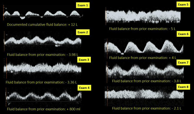 Figure 7