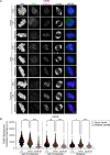 Figure 7: