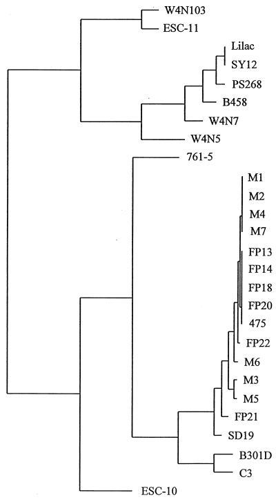 FIG. 3