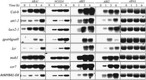 Figure 6.