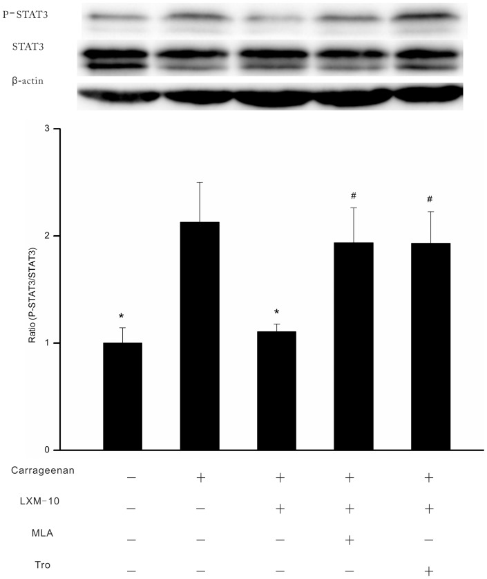 Figure 5