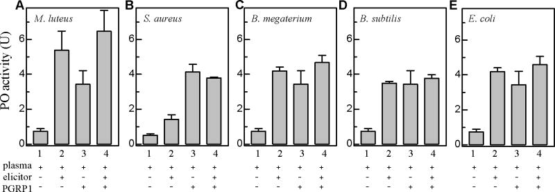 Fig. 8