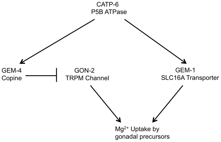 Figure 13