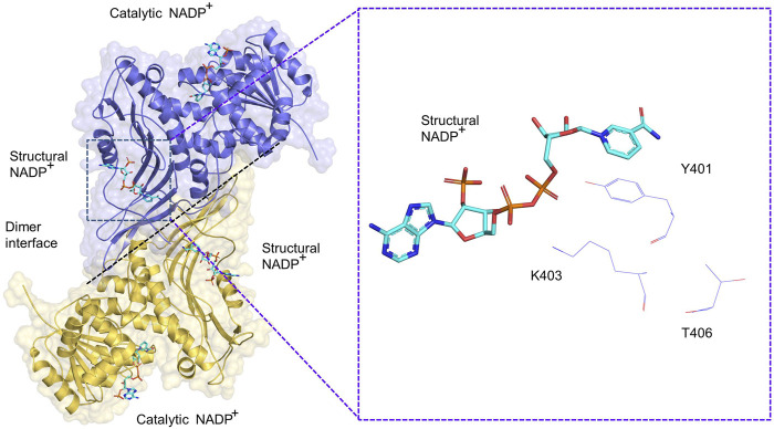 FIGURE 3