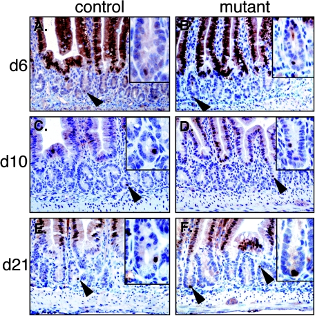 FIG. 6.