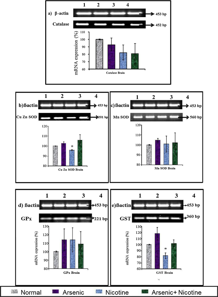 Fig. 10