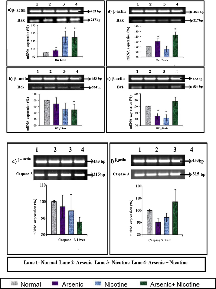 Fig. 11