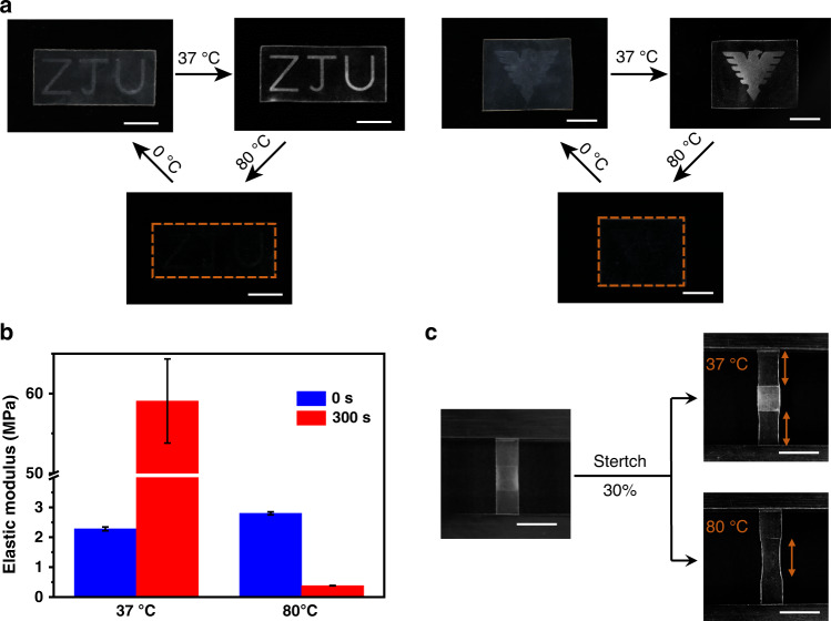 Fig. 3