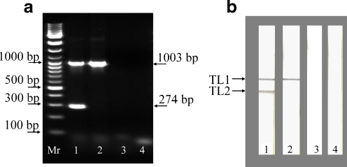 Fig. 4a–b