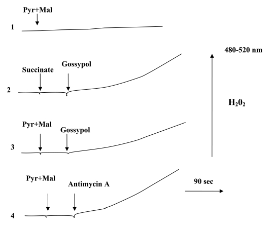 Fig. (3)