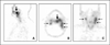 Fig. 14