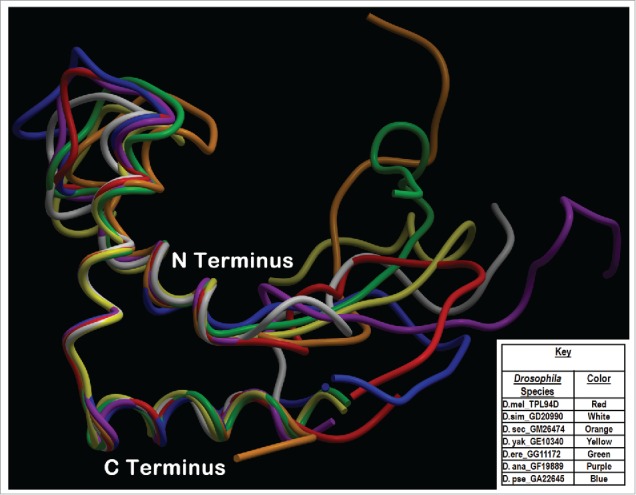 Figure 4.