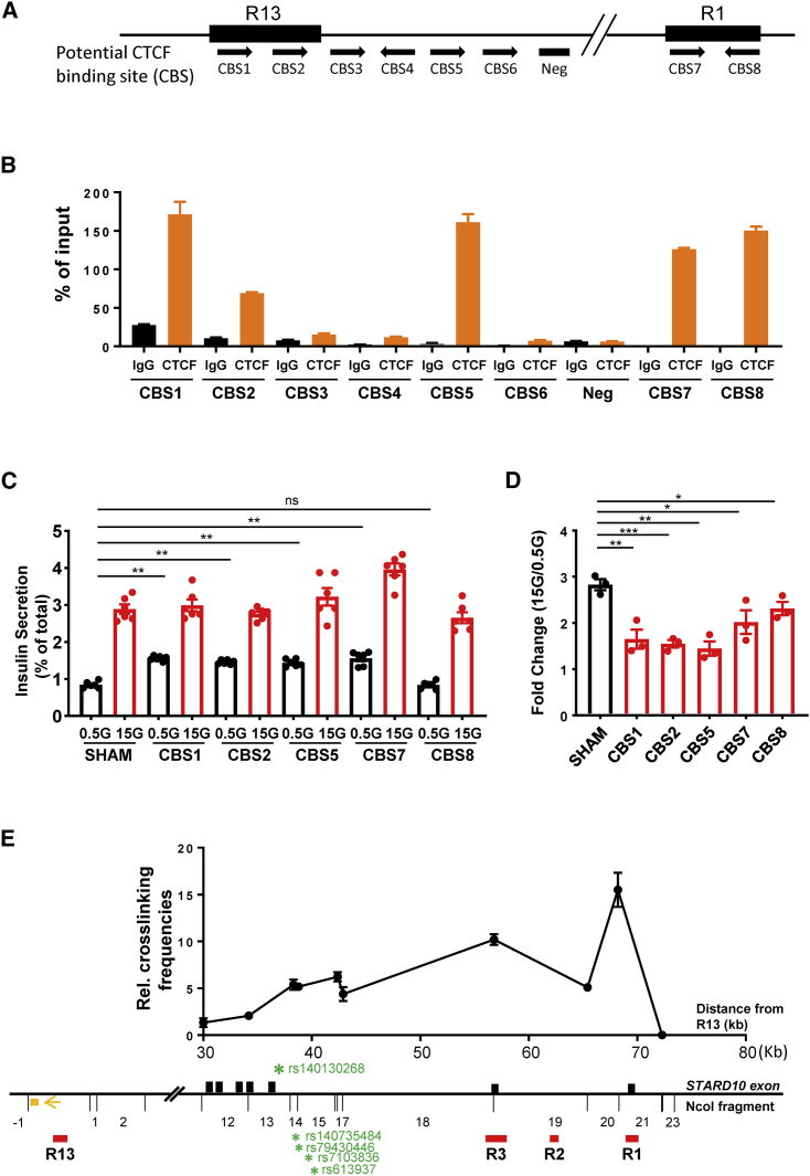 Figure 3