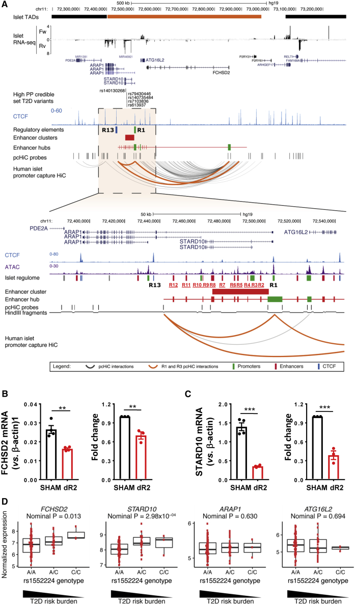 Figure 5