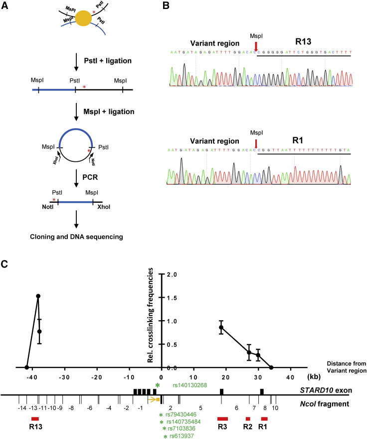 Figure 2