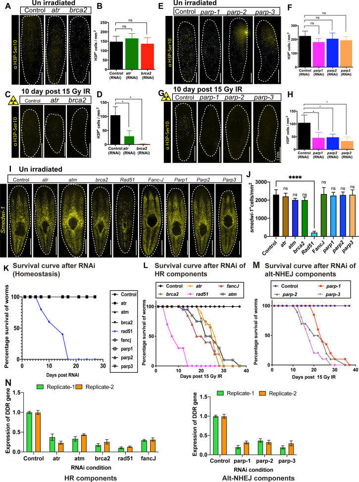 Figure 1—figure supplement 3.