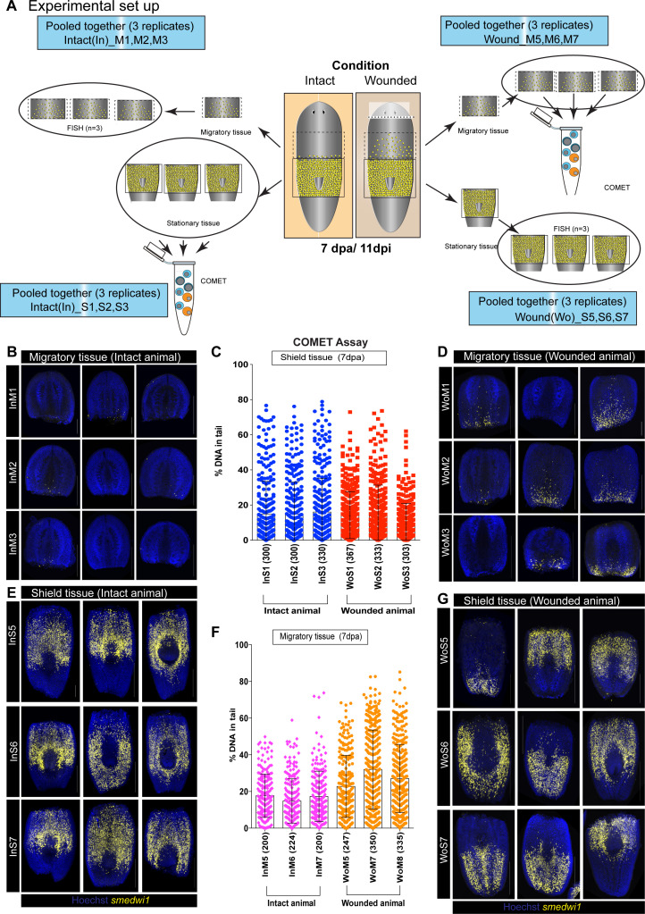 Figure 2—figure supplement 3.