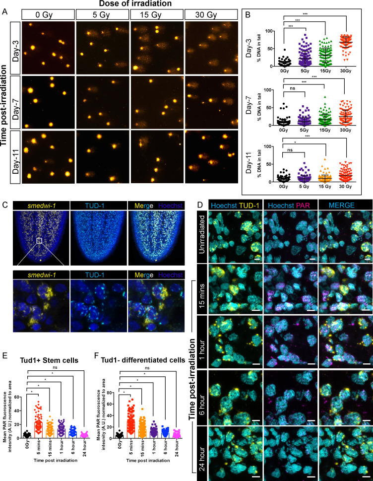 Figure 1—figure supplement 2.