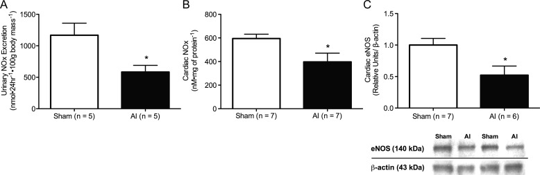 FIGURE 4: